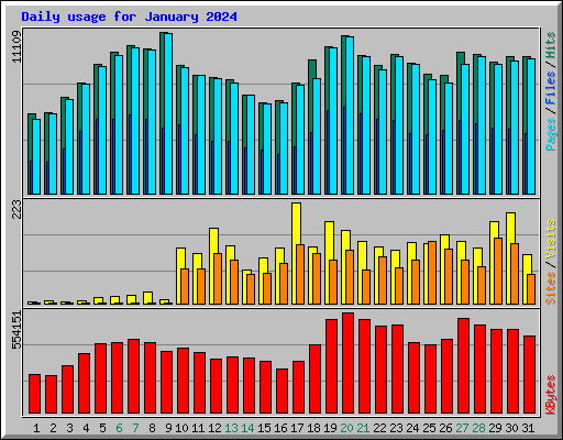 Daily usage for January 2024