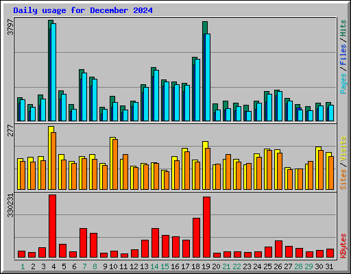 Daily usage for December 2024