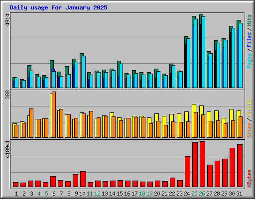 Daily usage for January 2025