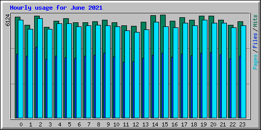 Hourly usage for June 2021