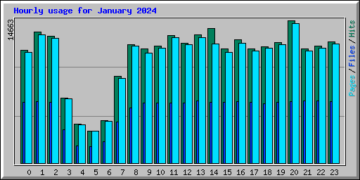 Hourly usage for January 2024