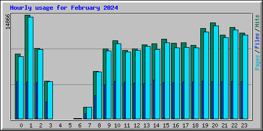 Hourly usage for February 2024