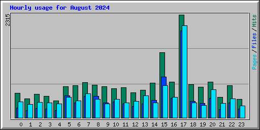 Hourly usage for August 2024