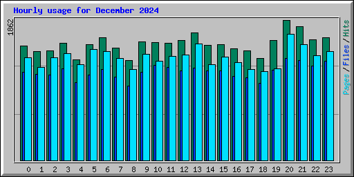 Hourly usage for December 2024