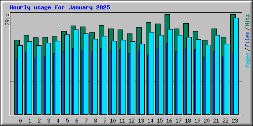 Hourly usage for January 2025