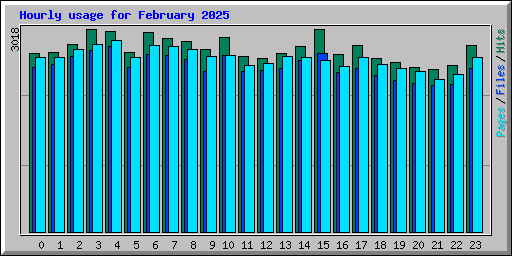 Hourly usage for February 2025